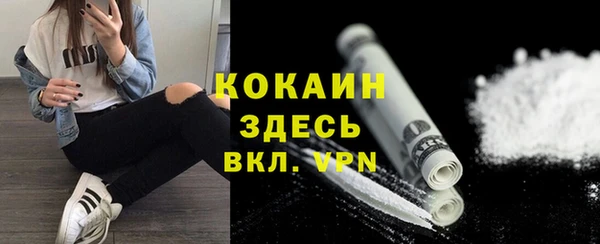 гидра Абаза