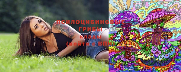 стафф Абдулино