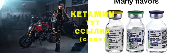 гидра Абаза