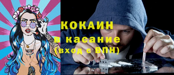 гидра Абаза