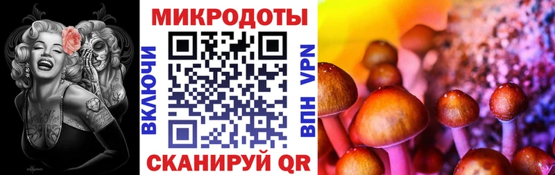 наркошоп  Богородск  Псилоцибиновые грибы MAGIC MUSHROOMS 