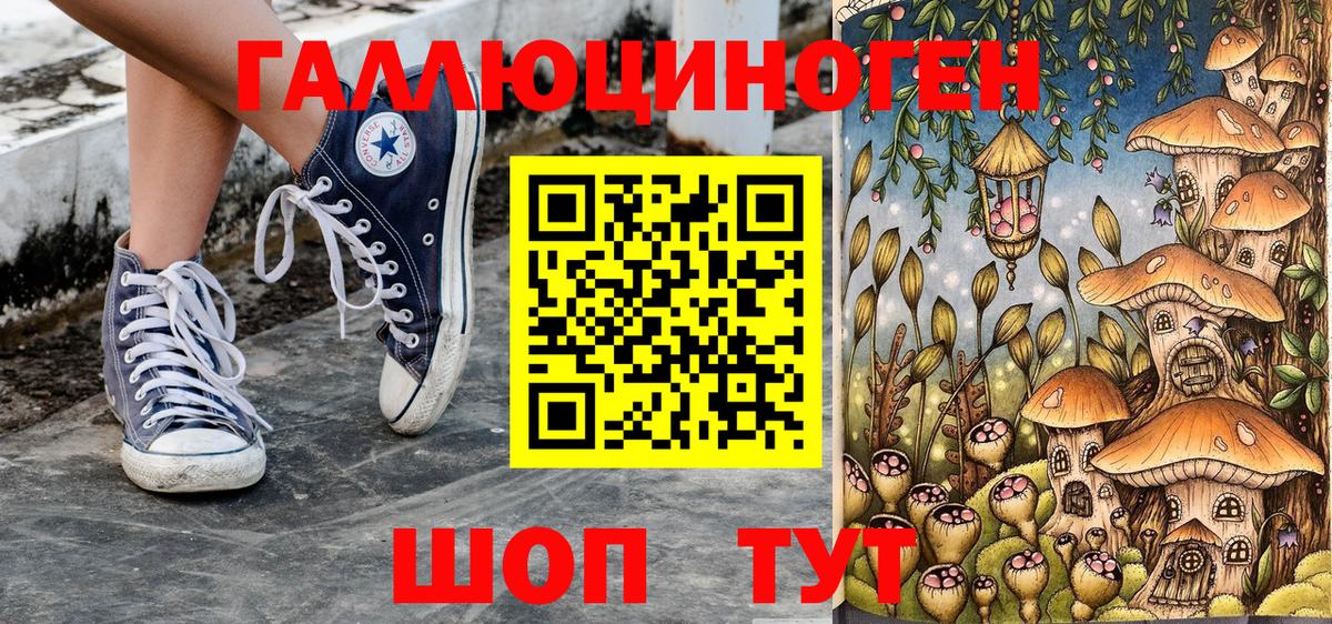 Псилоцибиновые грибы Cubensis  Вход с VPN  даркнет сайт  Псилоцибиновые грибы Psilocybe  Богородск 