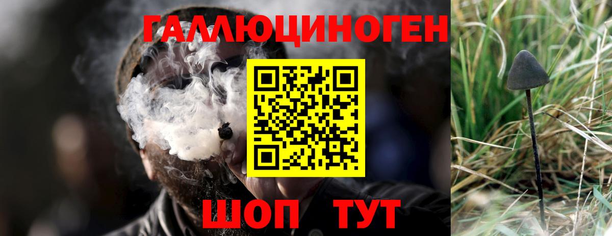 Псилоцибиновые грибы Cubensis Богородск